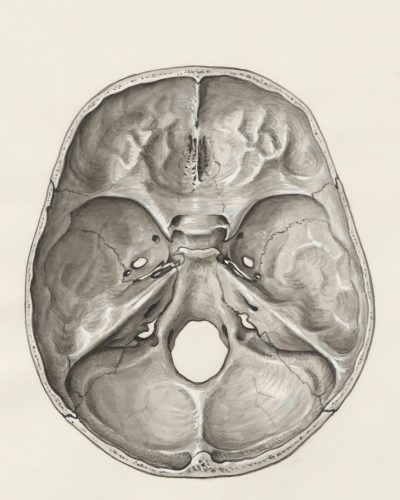 The Science Behind Ketamine-Assisted Integration